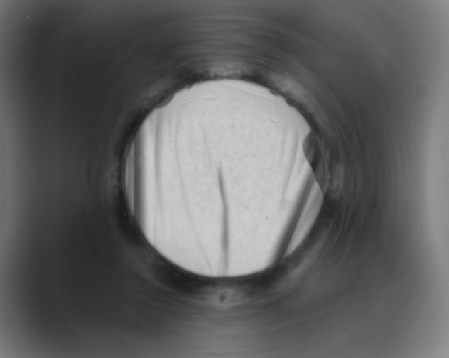 X0000088450356200706191315