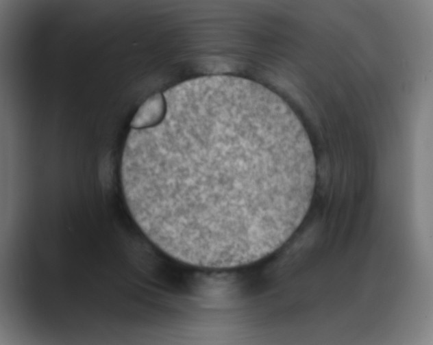 X0000088450359200706191315
