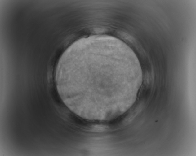 X0000088450360200706191315