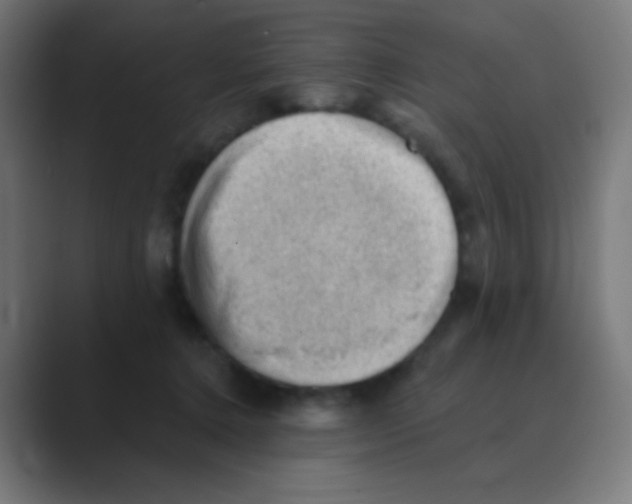 X0000088450368200706191315