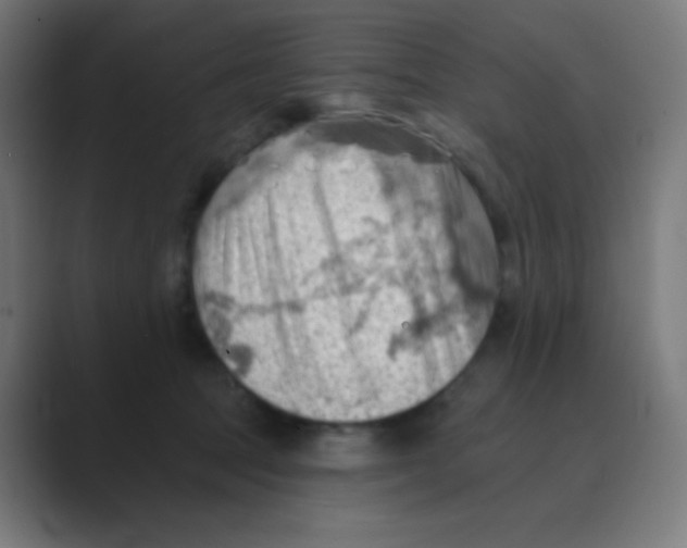 X0000088450369200706191315