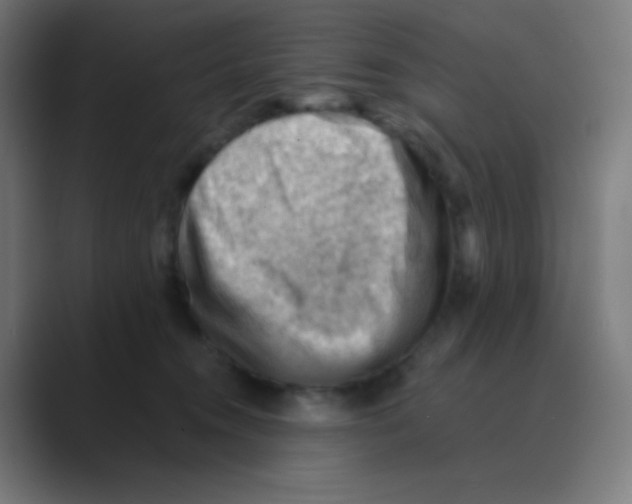 X0000088450372200706191315