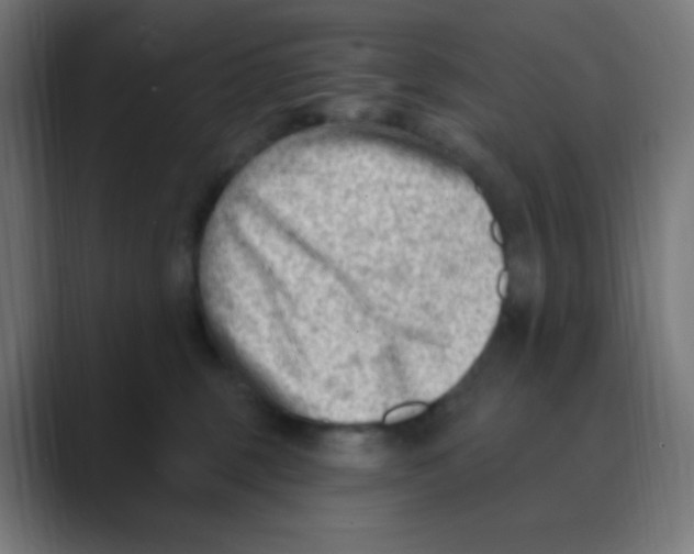 X0000088450375200706191315