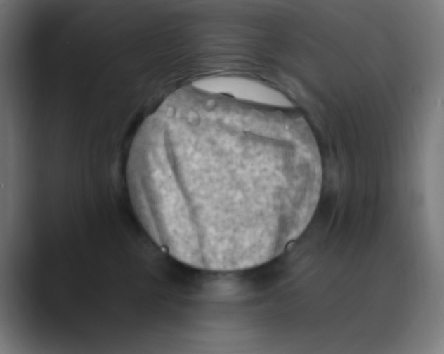 X0000088450377200706191315