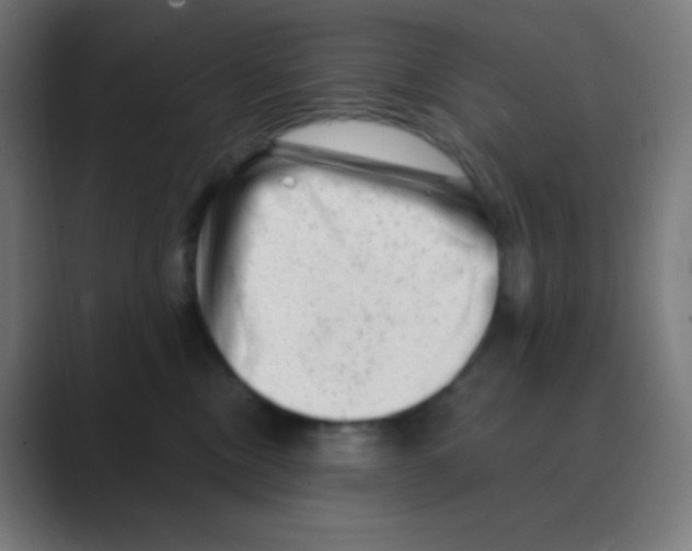 X0000088450378200706191315