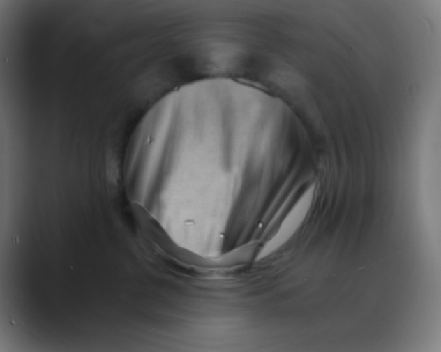 X0000088450380200706191315