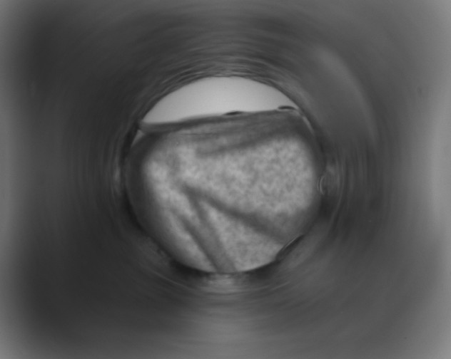 X0000088450381200706191315