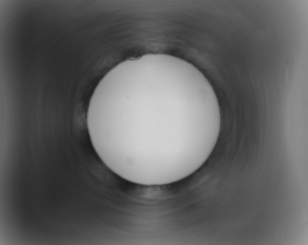X0000088450384200706191315