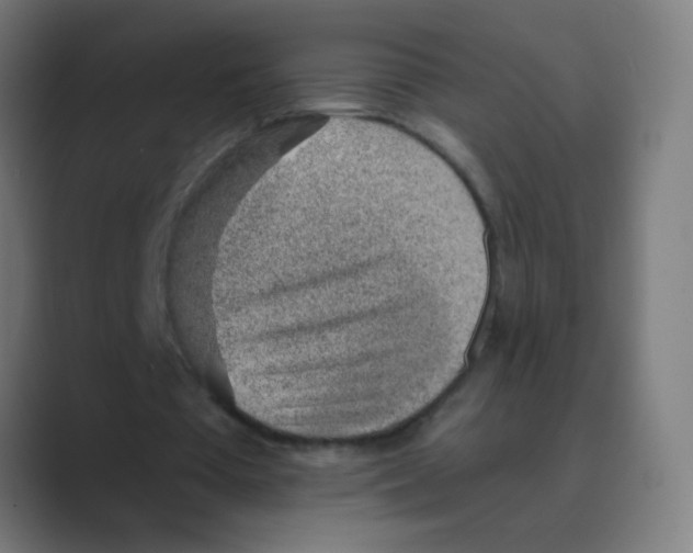 X0000088450385200706191315