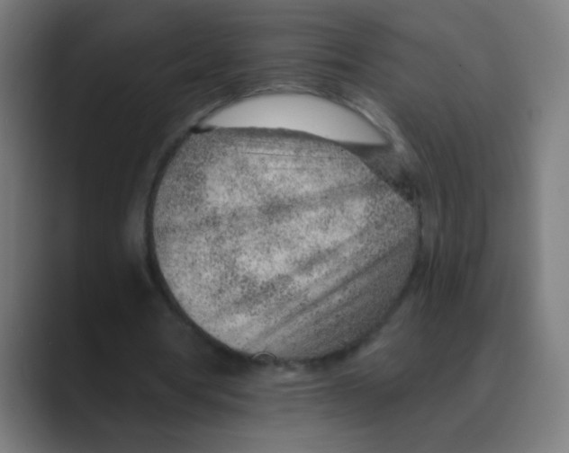 X0000088450386200706191315