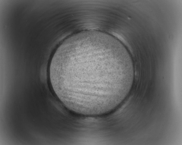 X0000088450390200706191315