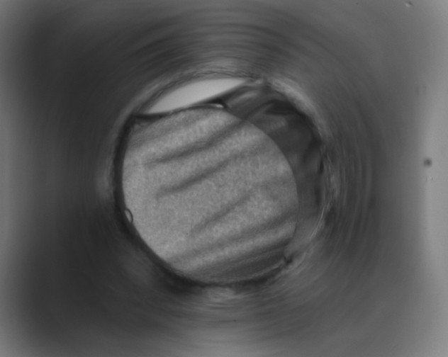 X0000088450392200706191315