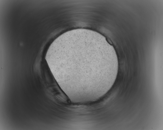 X0000088450395200706191315