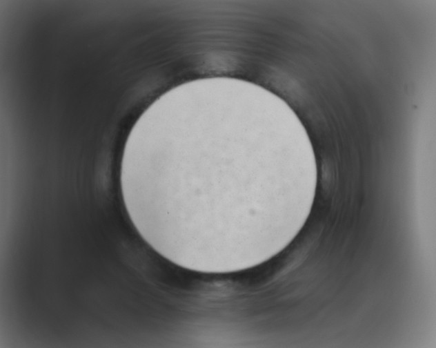 X0000088450396200706191315