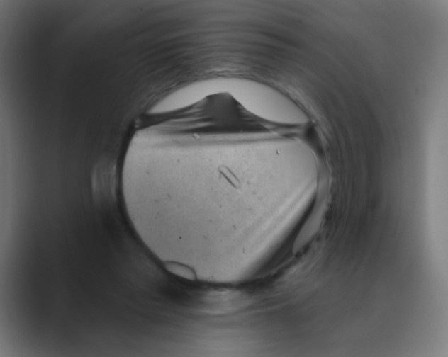 X0000088450397200706191315