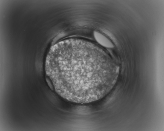 X0000088450399200706191315