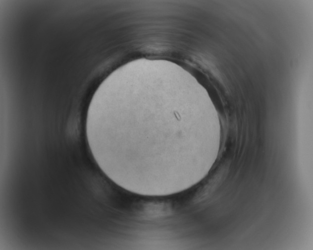 X0000088450400200706191315