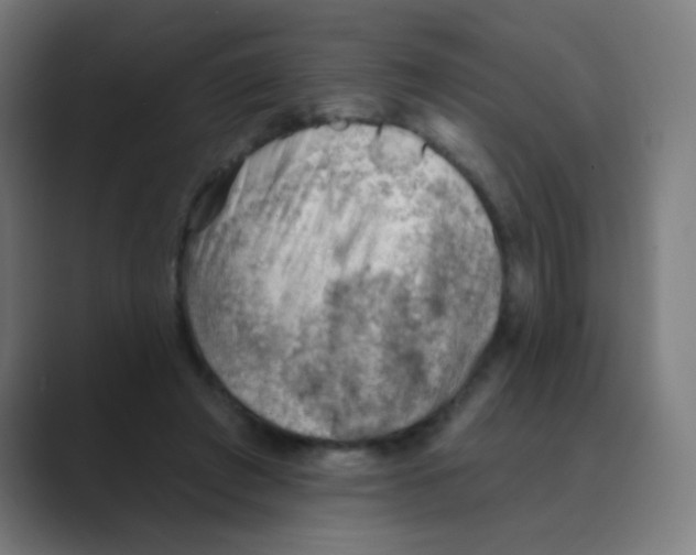 X0000088450401200706191315