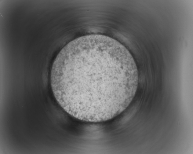 X0000088450402200706191315