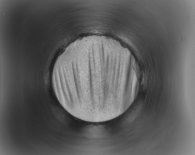 X0000088450403200706191315