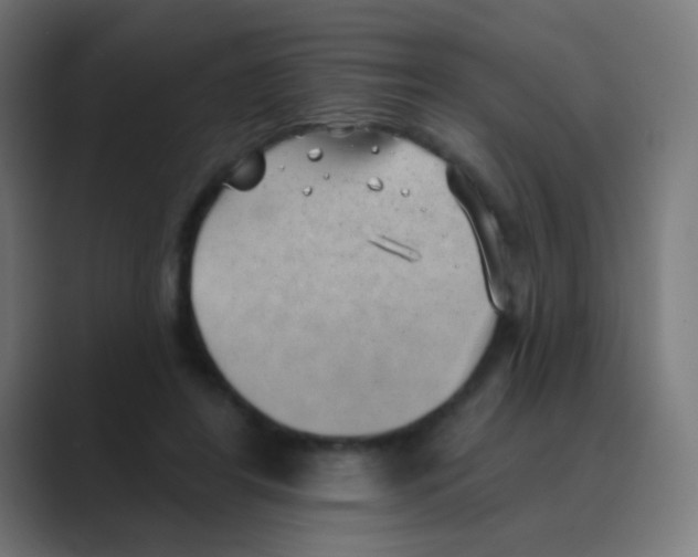 X0000088450404200706191315