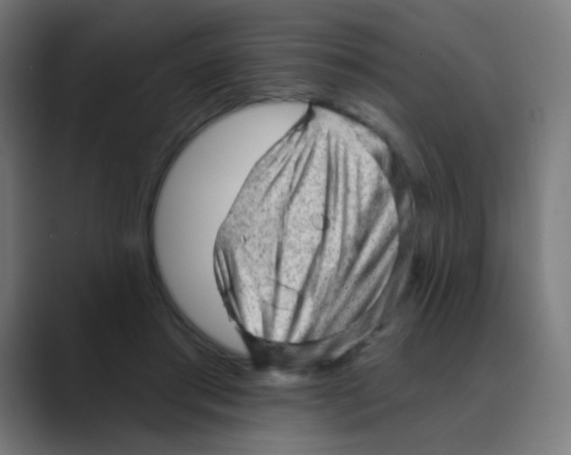 X0000088450405200706191315