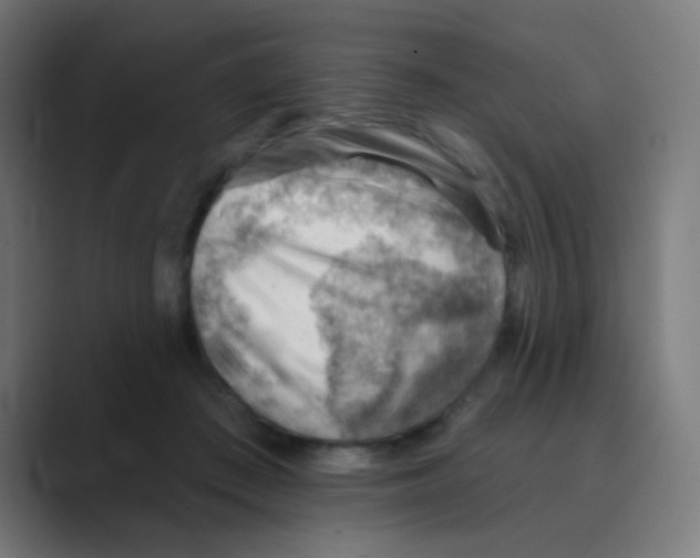 X0000088450409200706191315