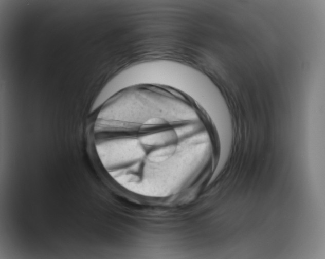 X0000088450412200706191315