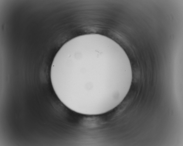 X0000088450414200706191315