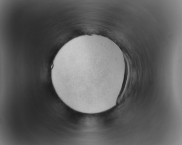 X0000088450416200706191315