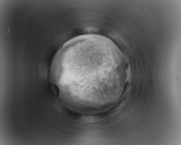 X0000088450417200706191314