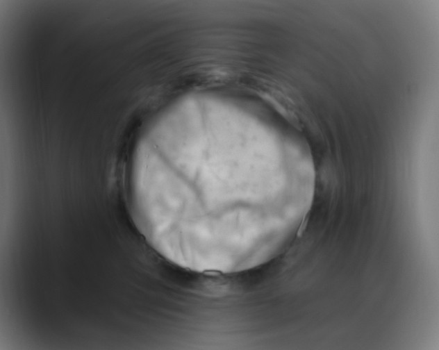X0000088450423200706191314