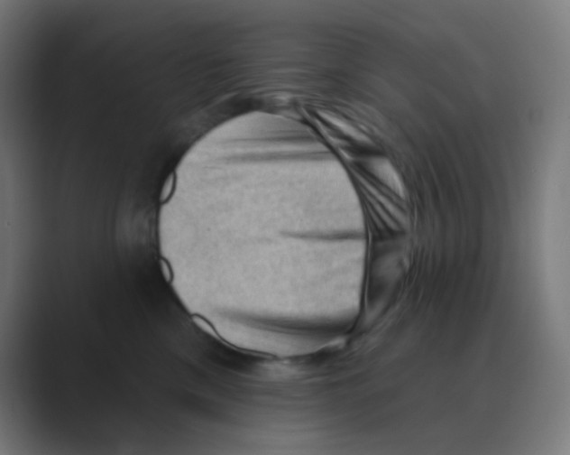 X0000088450425200706191314