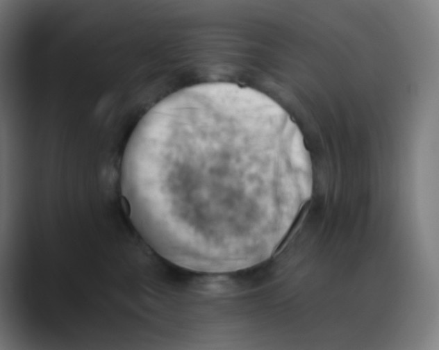 X0000088450427200706191314