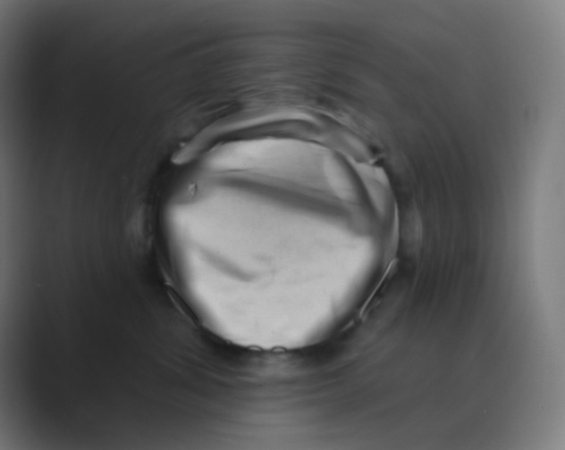 X0000088450428200706191314