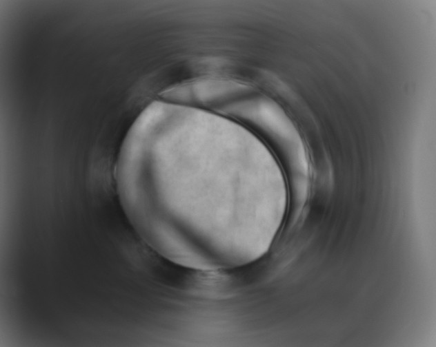 X0000088450429200706191314