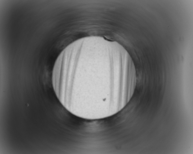 X0000088450430200706191314