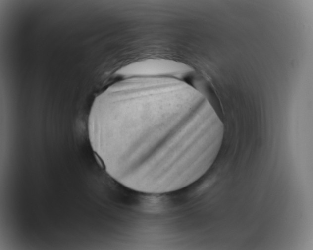 X0000088450432200706191314