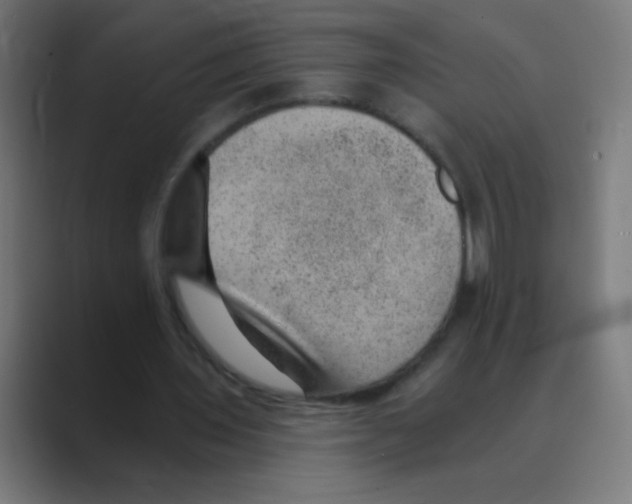 X0000088450435200706191314