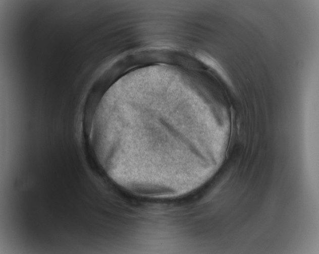X0000088450436200706191314