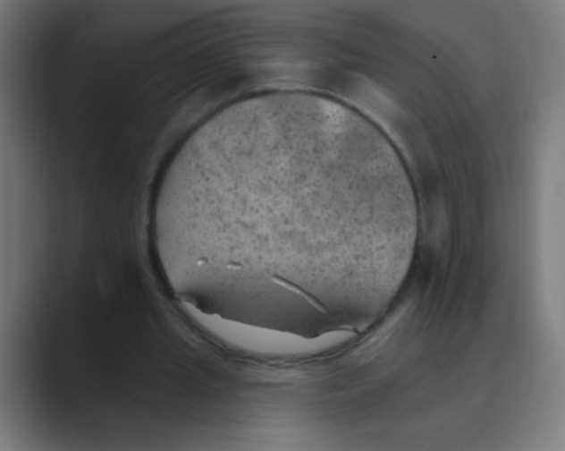 X0000088450437200706191314