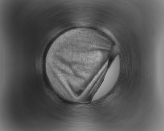X0000088450439200706191314