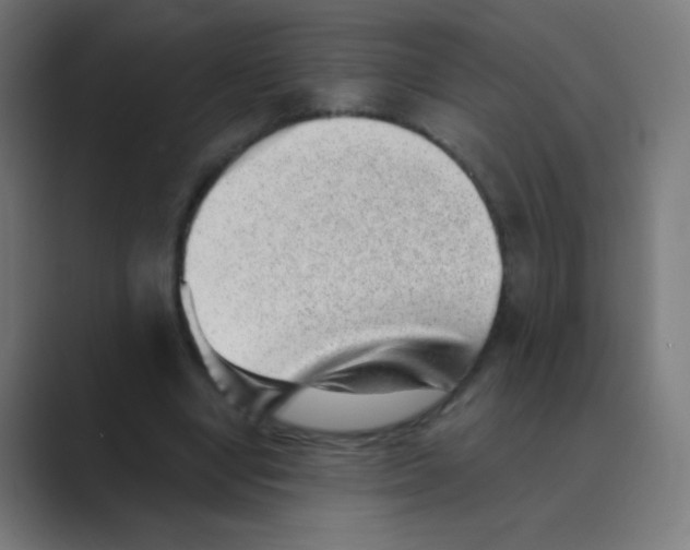 X0000088450442200706191314
