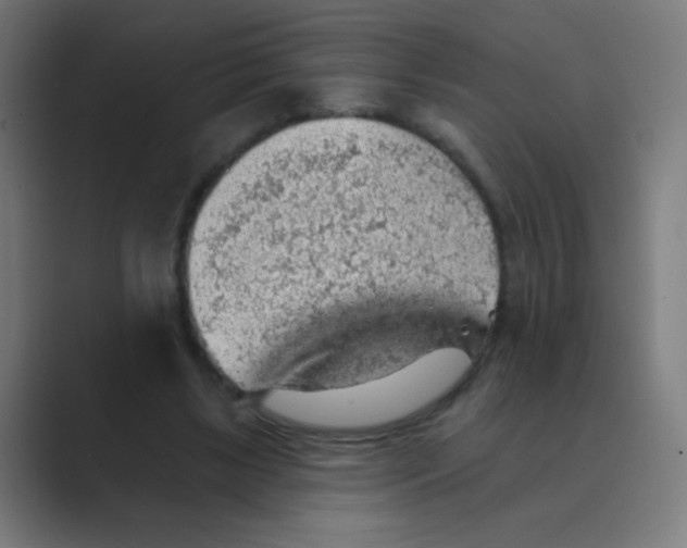 X0000088450443200706191314