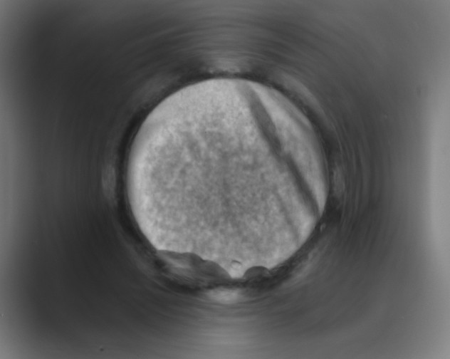 X0000088450444200706191314