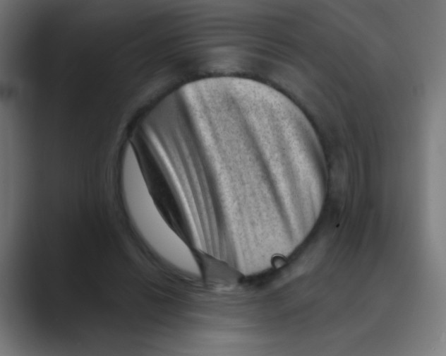 X0000088450446200706191314