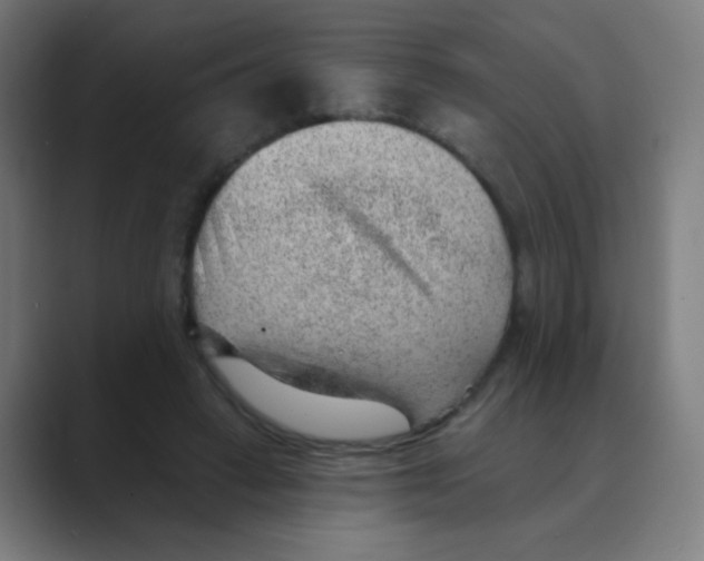 X0000088450449200706191314