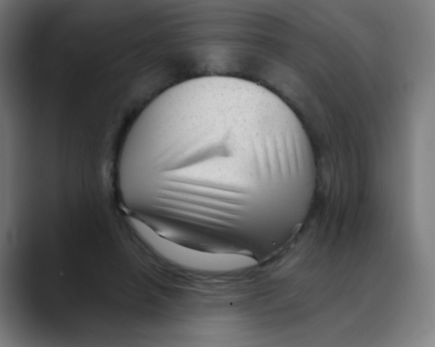 X0000088450450200706191314
