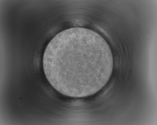 X0000088450451200706191314