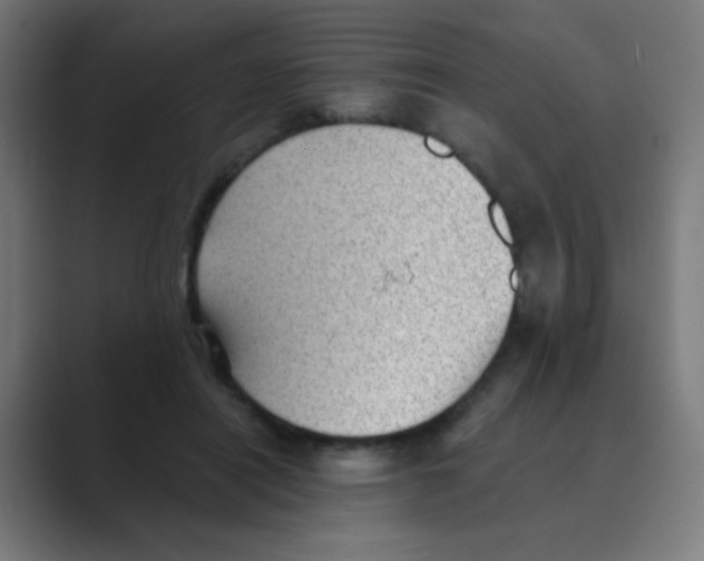 X0000088450454200706191314